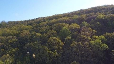 Homes For Sale - 172 Trailwood Drive<br/> Ellijay, GA 30540