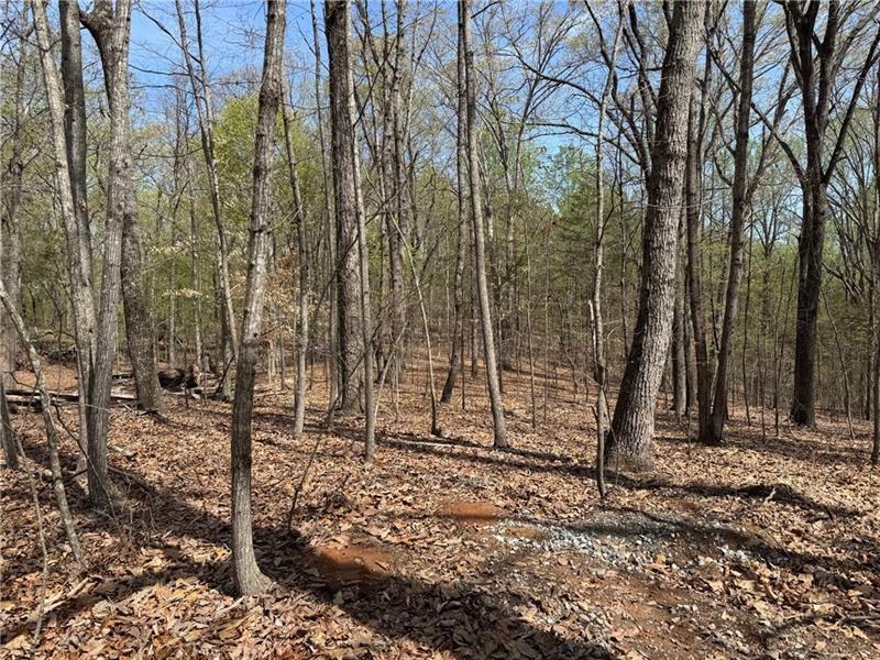 0 Bethel Rd (296 128 & 296 132) Road