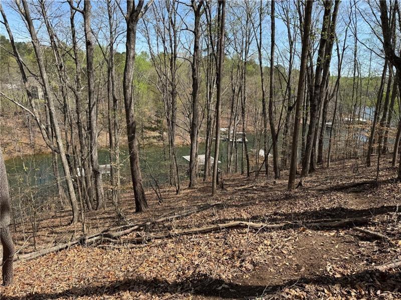0 Bethel Rd (296 128 & 296 132) Road
