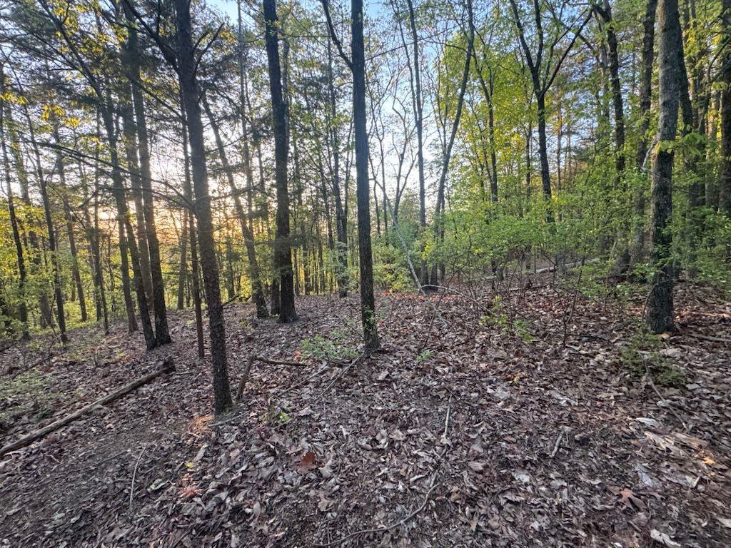 711 Railey Ridge, Ranger, Georgia image 1