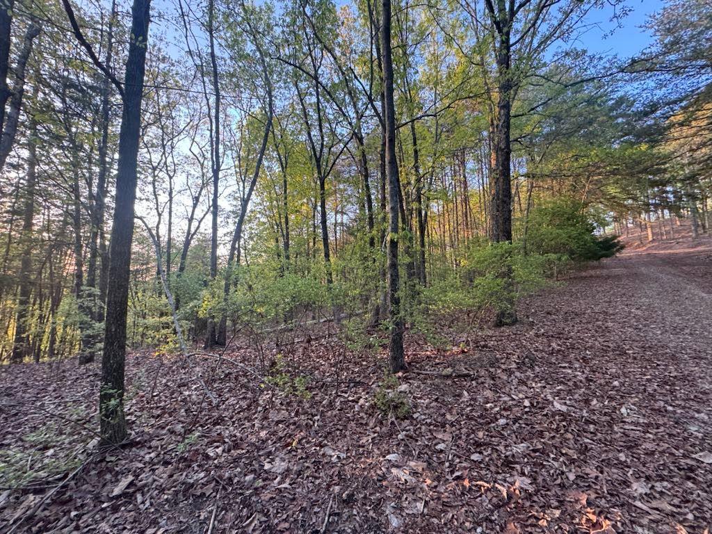711 Railey Ridge, Ranger, Georgia image 6