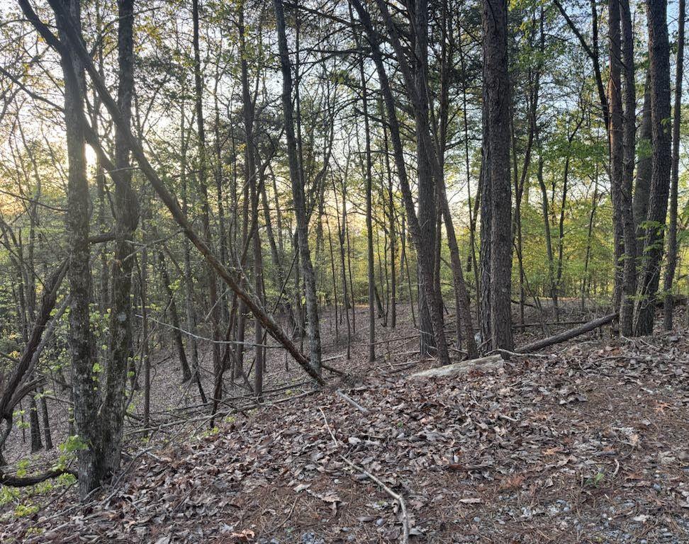 711 Railey Ridge, Ranger, Georgia image 4