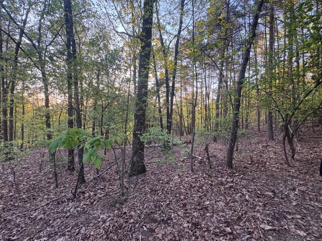 711 Railey Ridge, Ranger, Georgia image 7