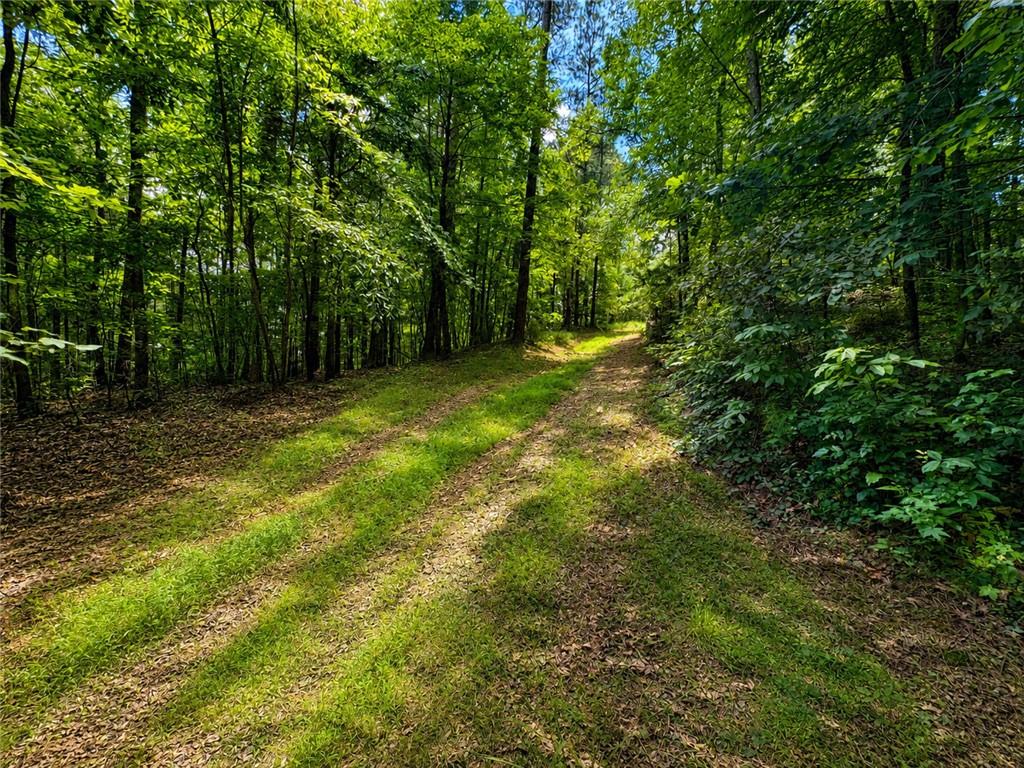 30 Cornish Trace Drive