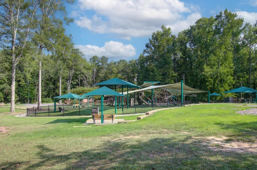 78 Homesite Slick Court, Senoia, Georgia image 37