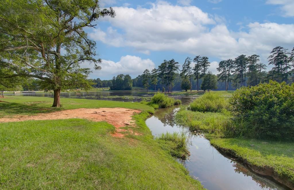 78 Homesite Slick Court, Senoia, Georgia image 34