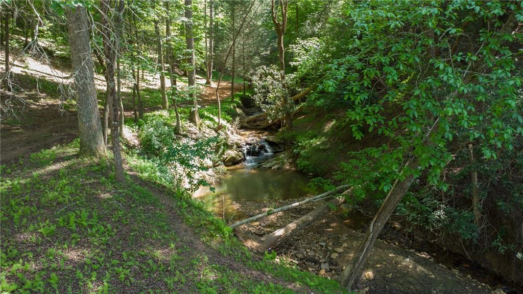 400 Matrix Circle, Ellijay, Georgia image 45