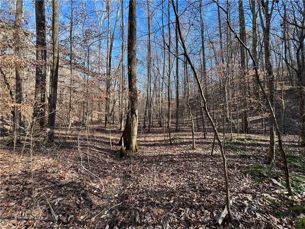 63 AC Peachtree Road, Rockmart, Georgia image 11