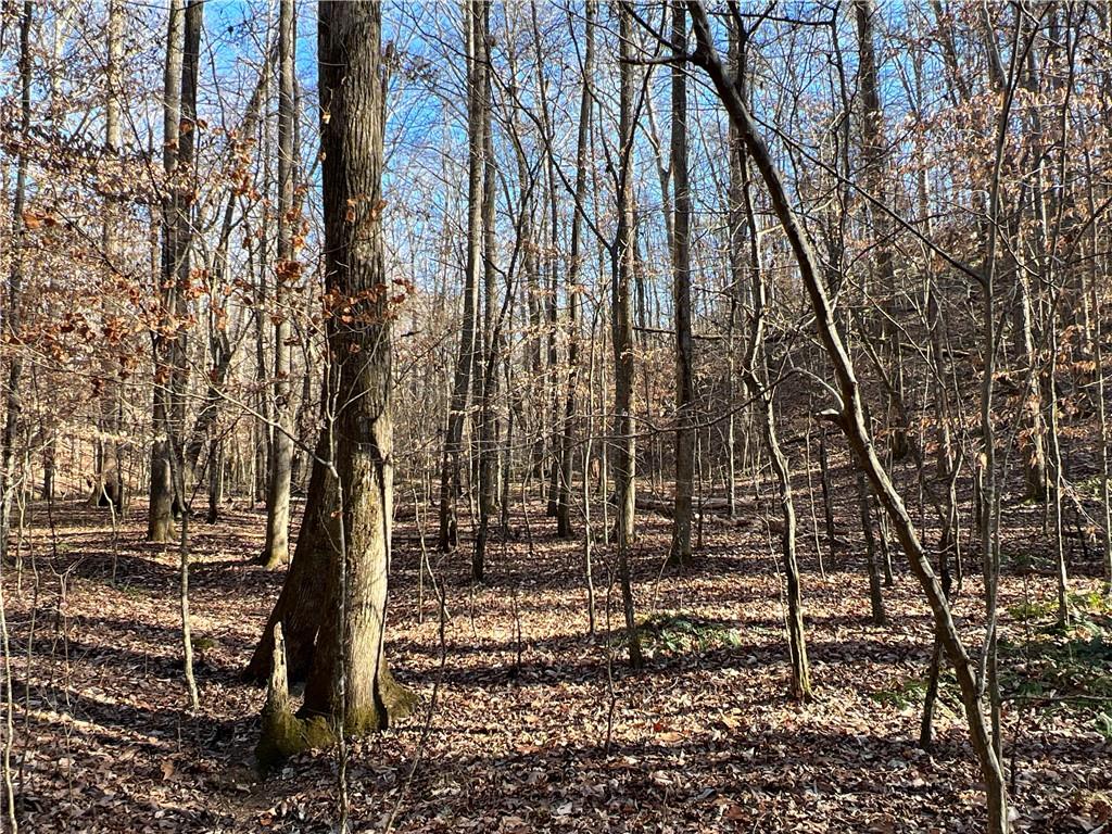 63 AC Peachtree Road, Rockmart, Georgia image 19