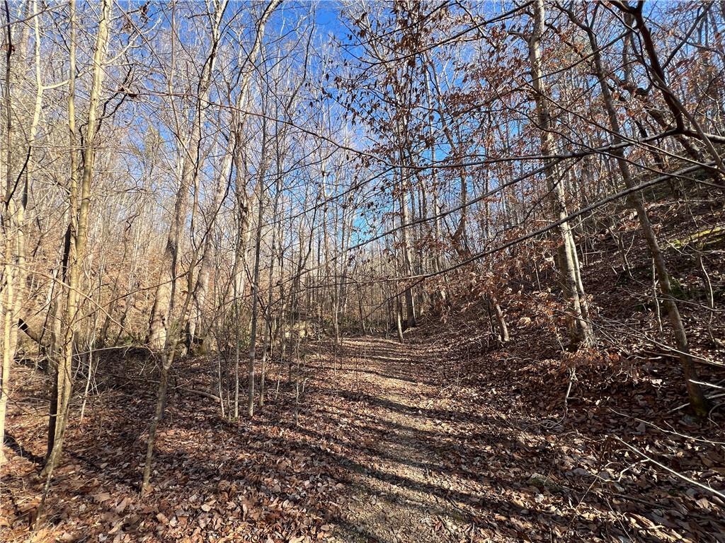 63 AC Peachtree Road, Rockmart, Georgia image 12