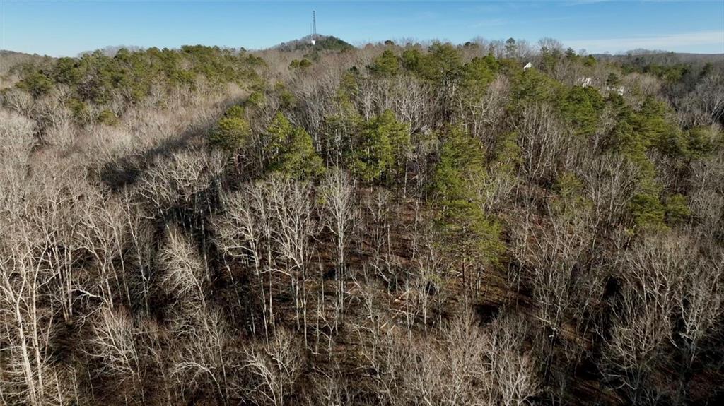 63 AC Peachtree Road, Rockmart, Georgia image 39
