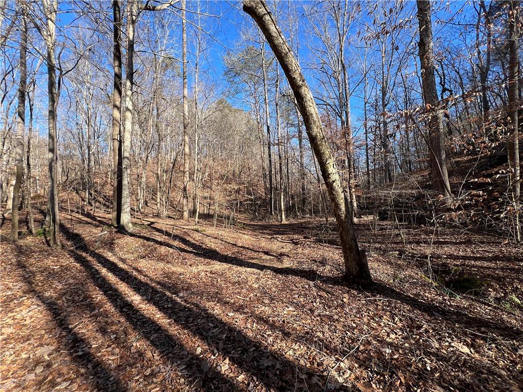 63 AC Peachtree Road, Rockmart, Georgia image 15