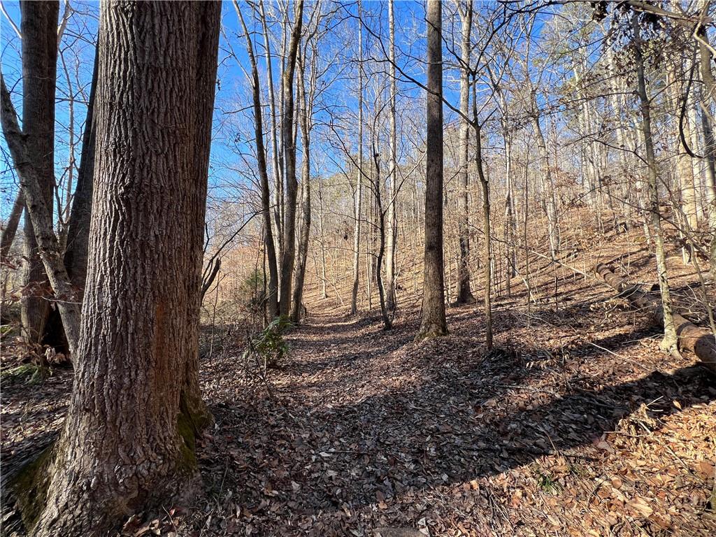 63 AC Peachtree Road, Rockmart, Georgia image 14
