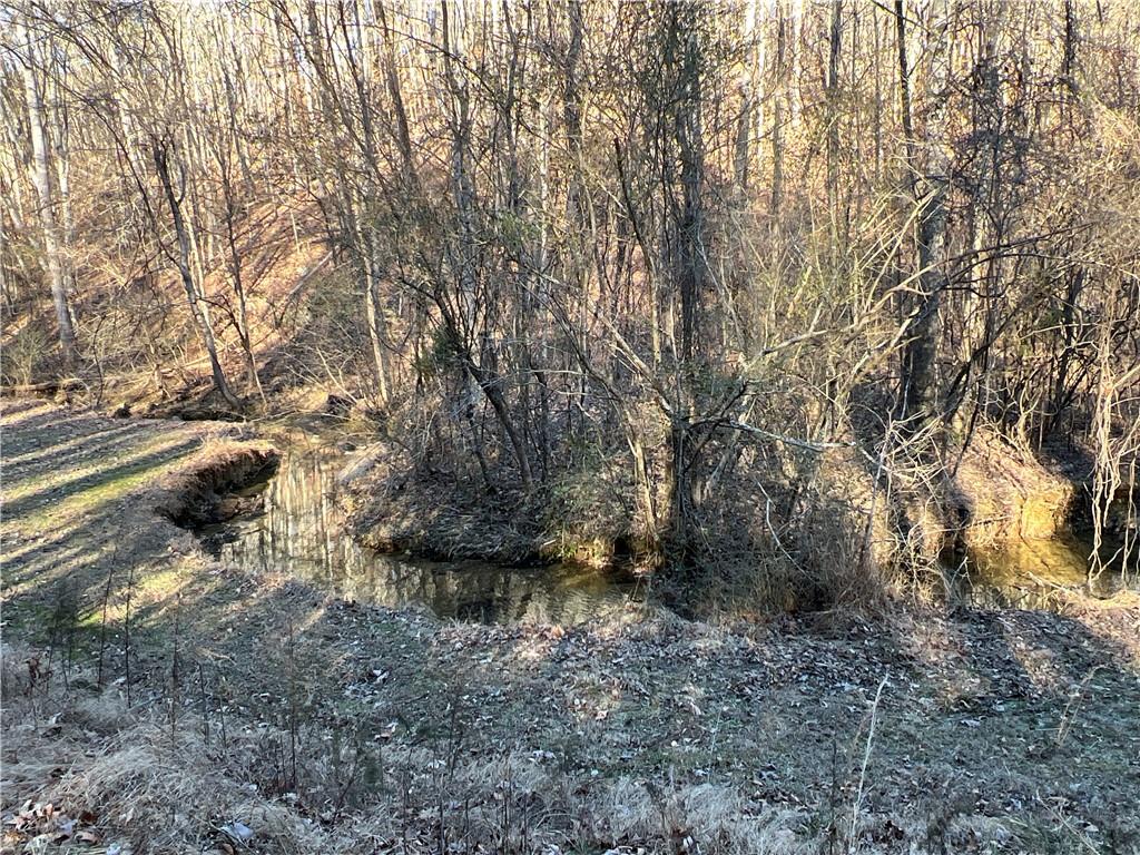 63 AC Peachtree Road, Rockmart, Georgia image 4