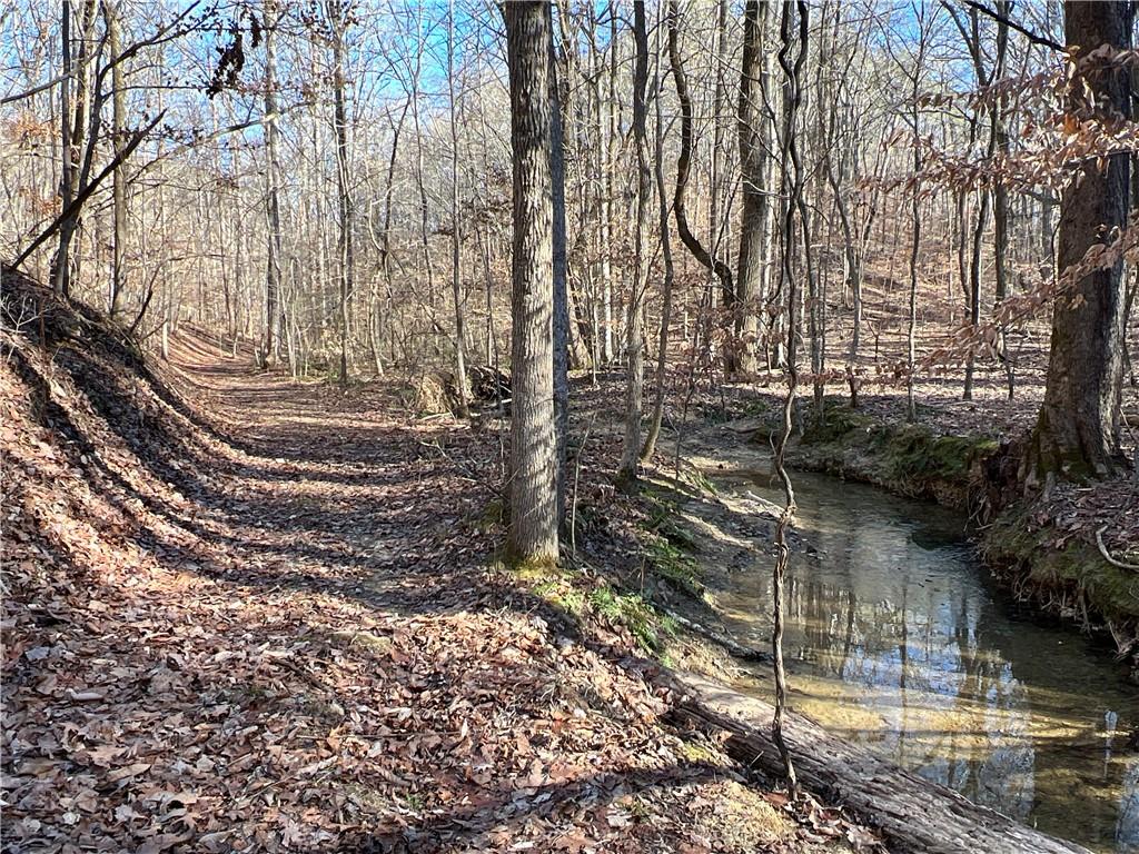 63 AC Peachtree Road, Rockmart, Georgia image 3