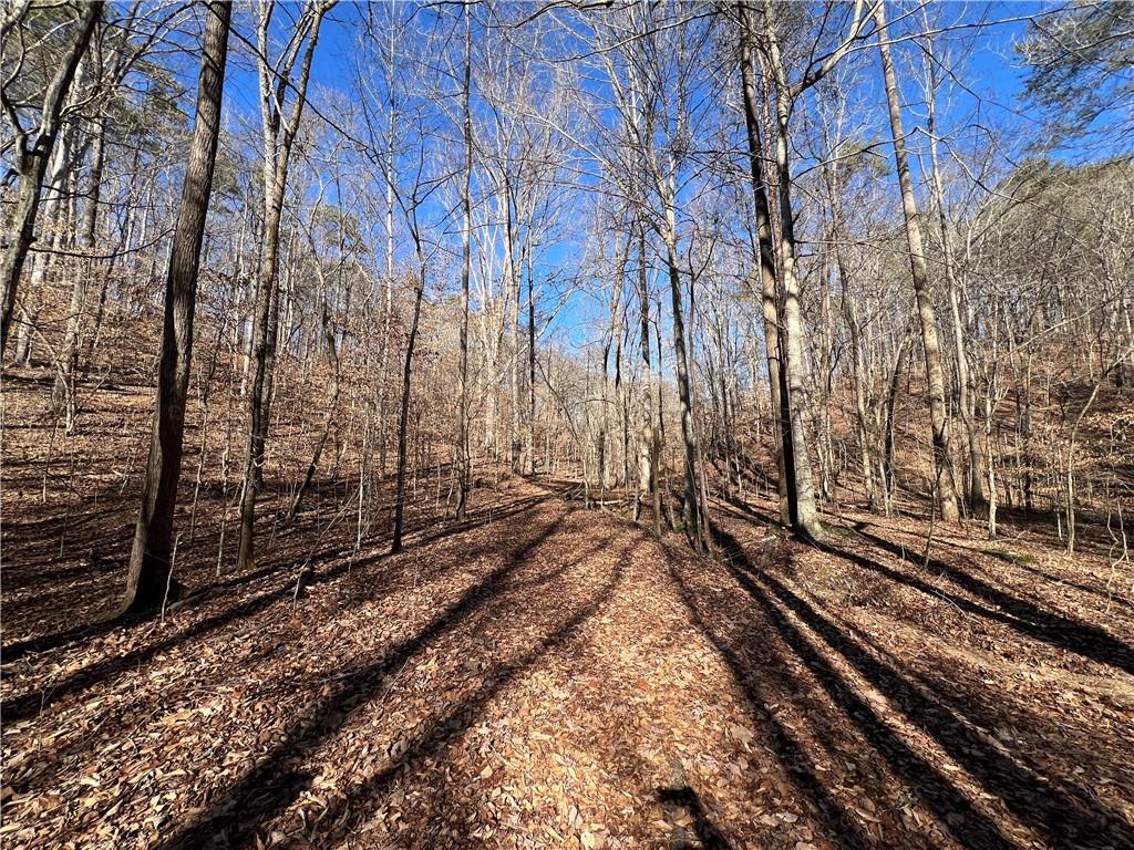 63 AC Peachtree Road, Rockmart, Georgia image 37