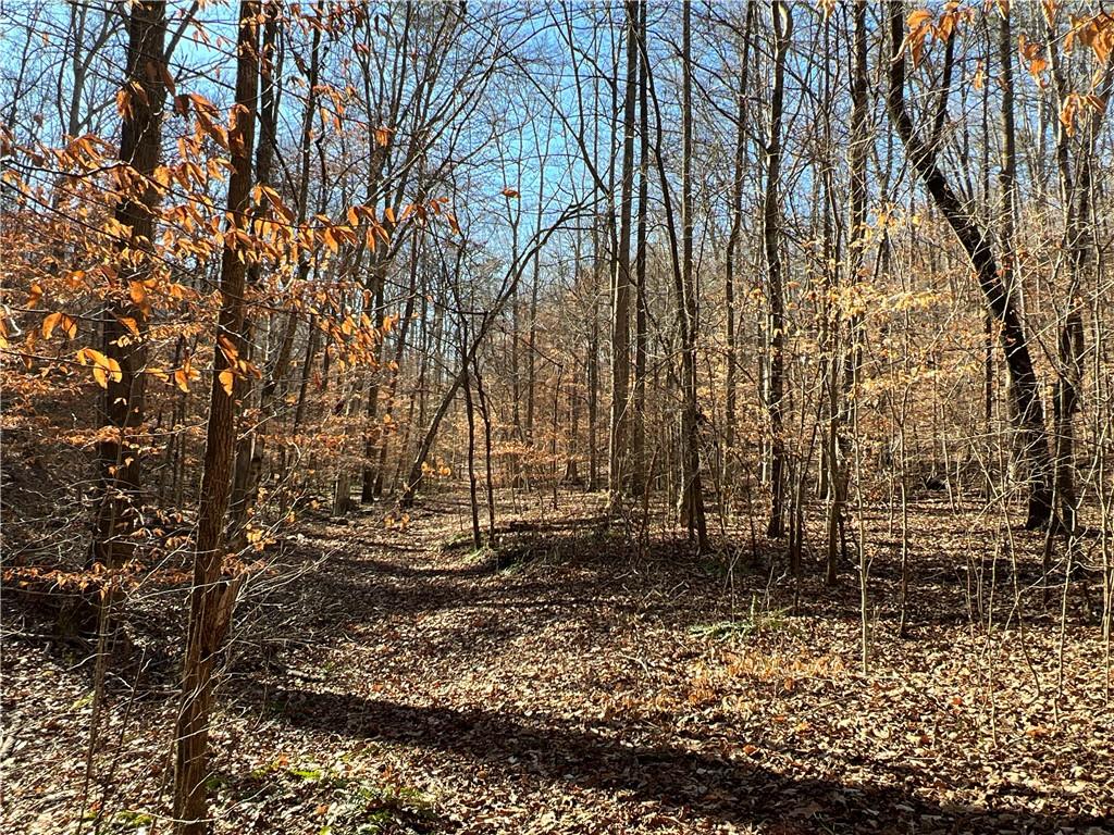 63 AC Peachtree Road, Rockmart, Georgia image 20