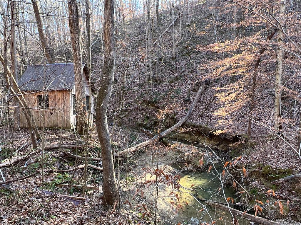63 AC Peachtree Road, Rockmart, Georgia image 1