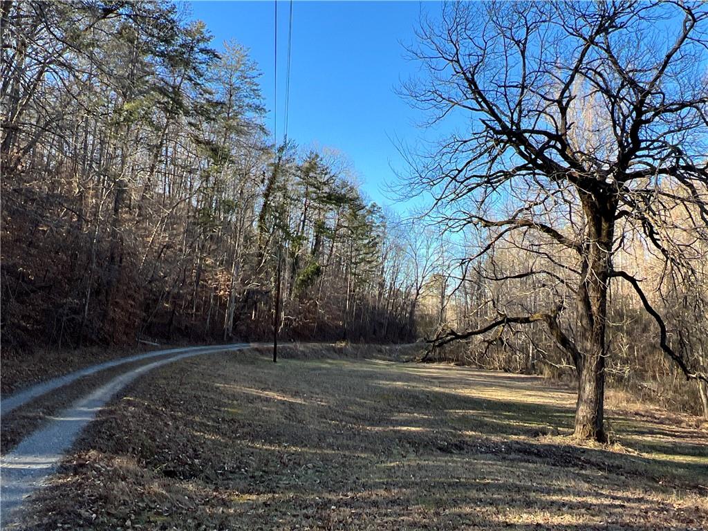 63 AC Peachtree Road, Rockmart, Georgia image 6