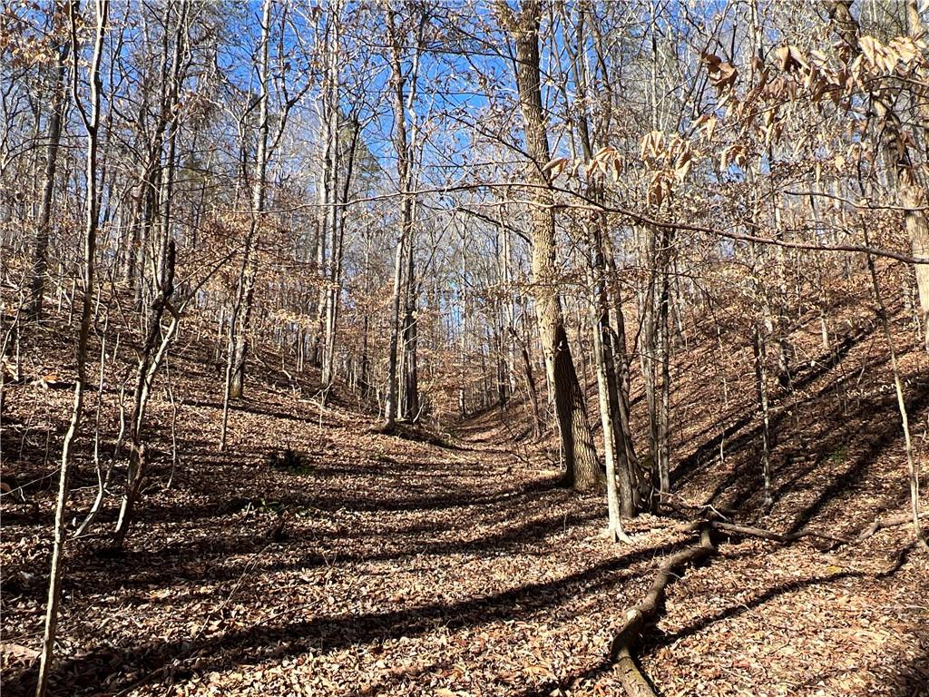 63 AC Peachtree Road, Rockmart, Georgia image 36