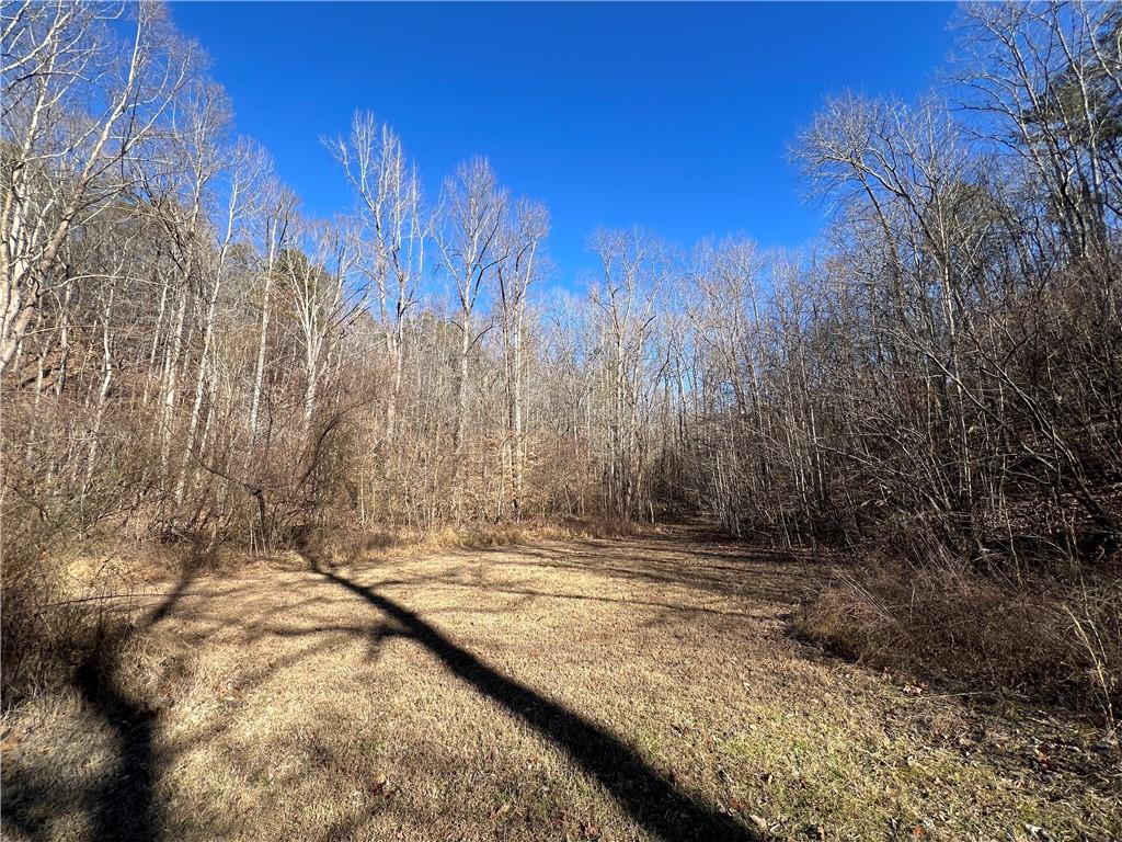 63 AC Peachtree Road, Rockmart, Georgia image 34