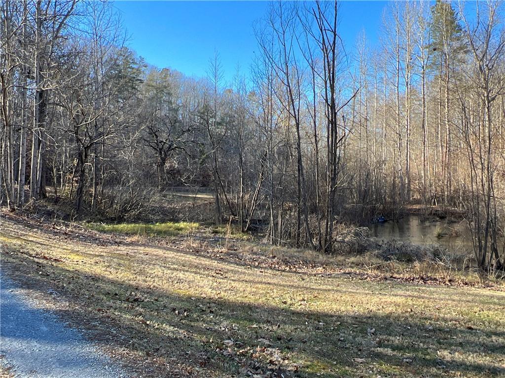 63 AC Peachtree Road, Rockmart, Georgia image 5