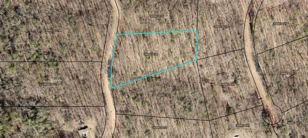 Dowel Circle, Ellijay, Georgia image 5