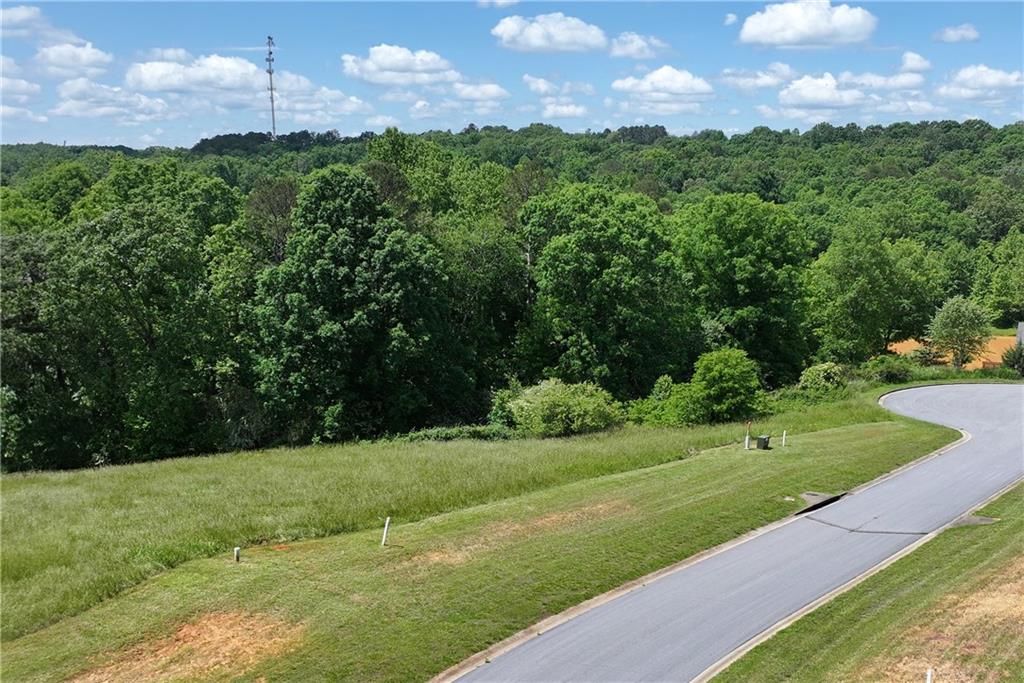 1091 Wind Dance Court, Demorest, Georgia image 8