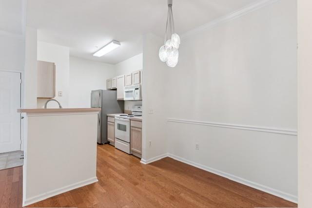 1704 Frederica Road 336