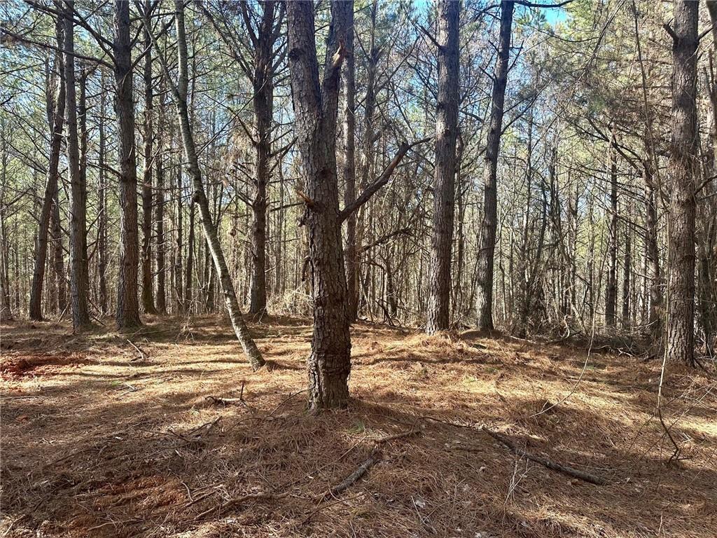 5-/+ Patriot, Dahlonega, Georgia image 3
