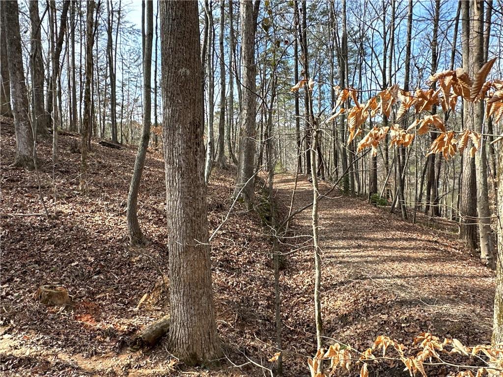 Paris Mountain Road, Rockmart, Georgia image 13