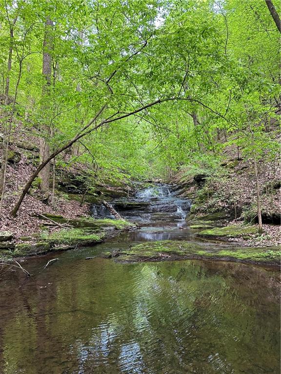 Paris Mountain Road, Rockmart, Georgia image 36