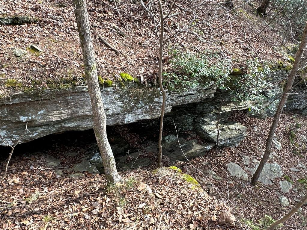 Paris Mountain Road, Rockmart, Georgia image 20