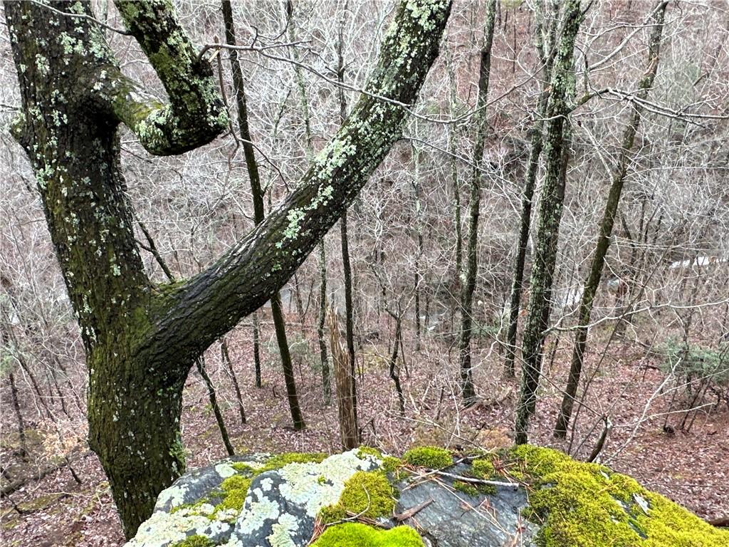 Paris Mountain Road, Rockmart, Georgia image 7