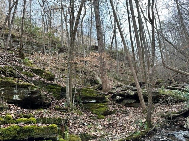 Paris Mountain Road, Rockmart, Georgia image 30