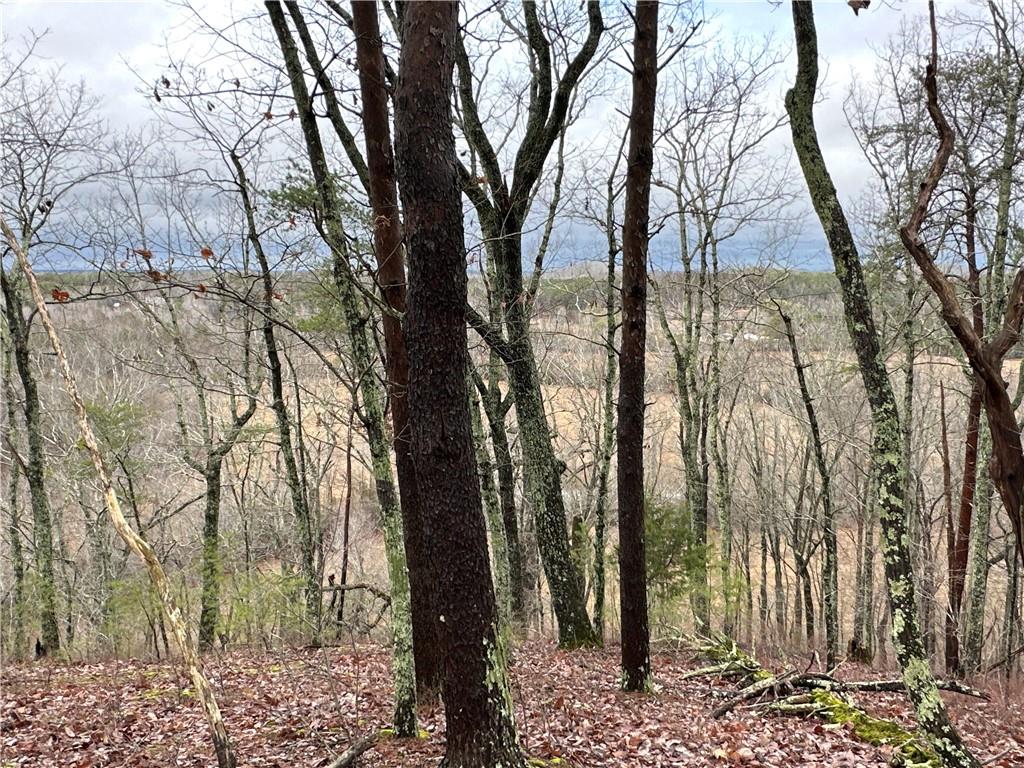 Paris Mountain Road, Rockmart, Georgia image 4