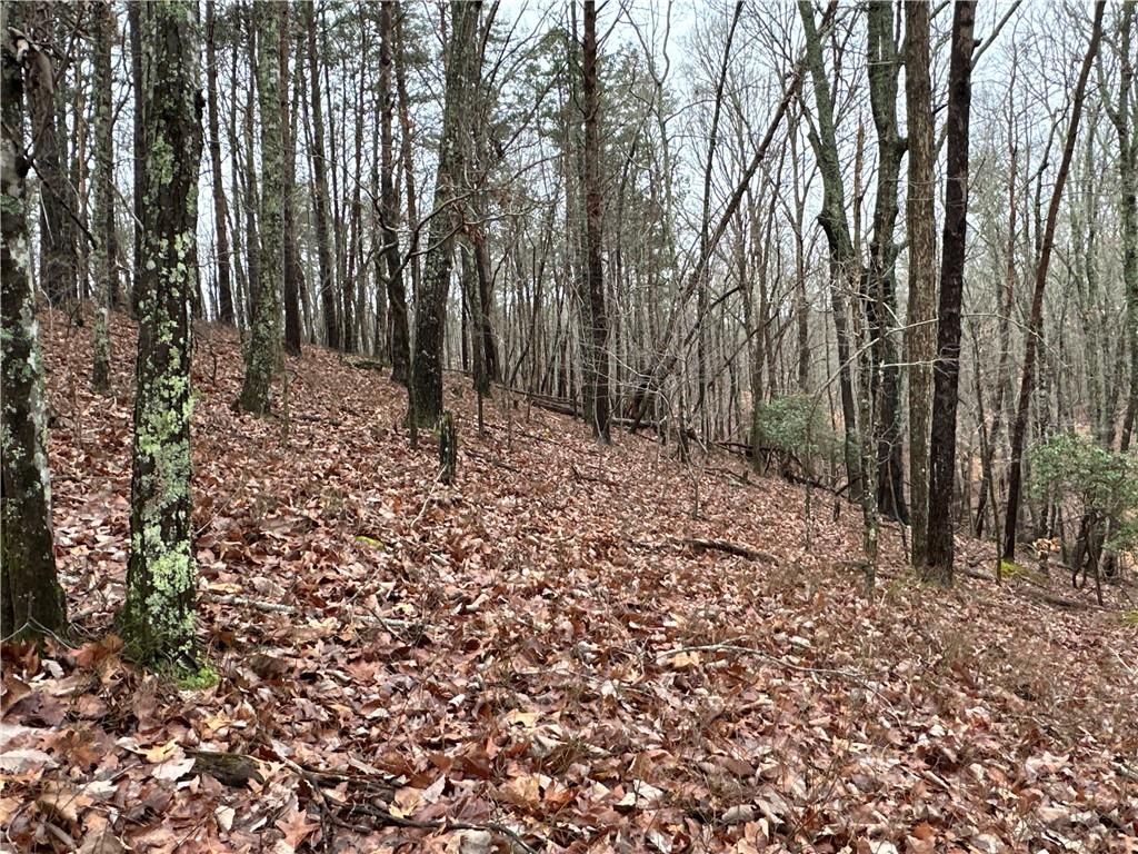 Paris Mountain Road, Rockmart, Georgia image 9