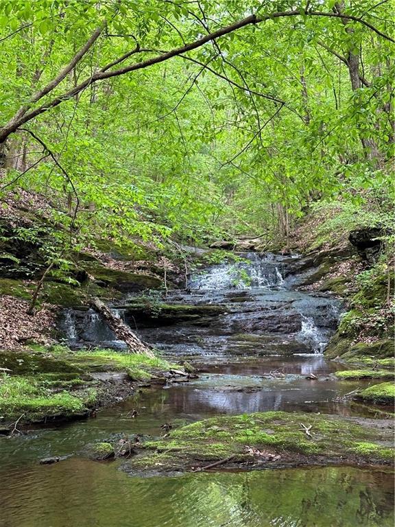 Paris Mountain Road, Rockmart, Georgia image 37