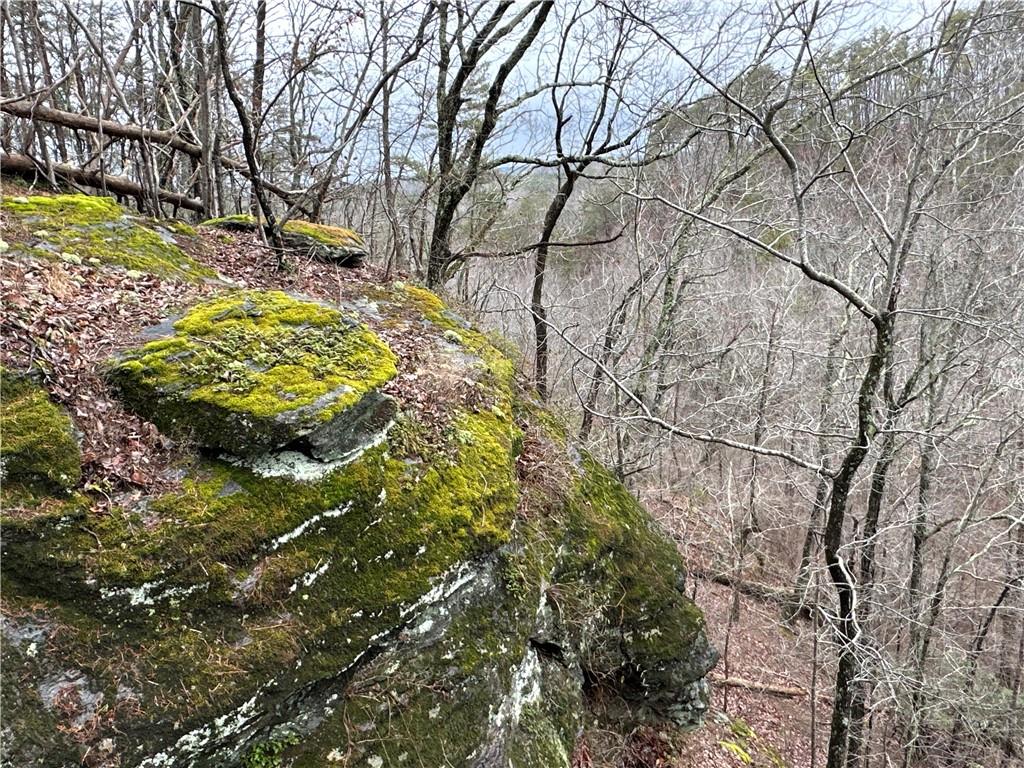 Paris Mountain Road, Rockmart, Georgia image 6