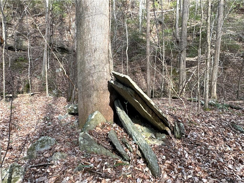 Paris Mountain Road, Rockmart, Georgia image 18