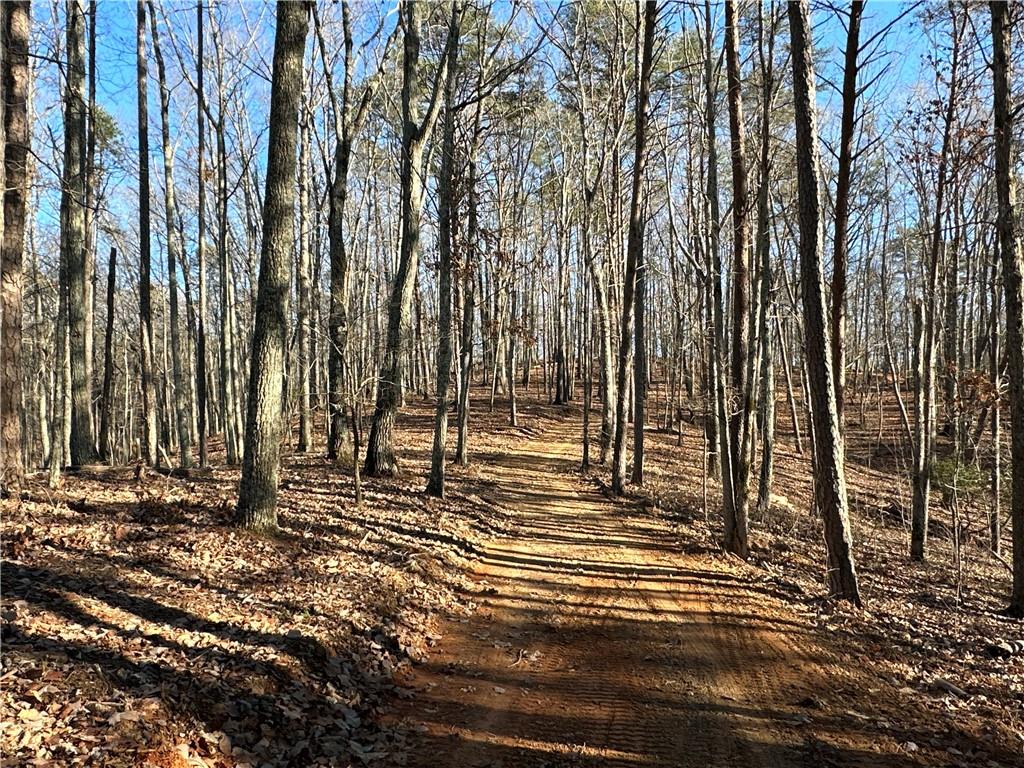 Paris Mountain Road, Rockmart, Georgia image 10