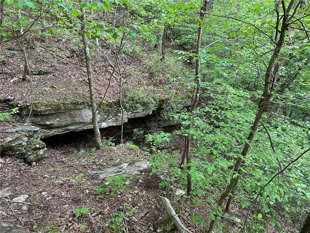 Paris Mountain Road, Rockmart, Georgia image 31