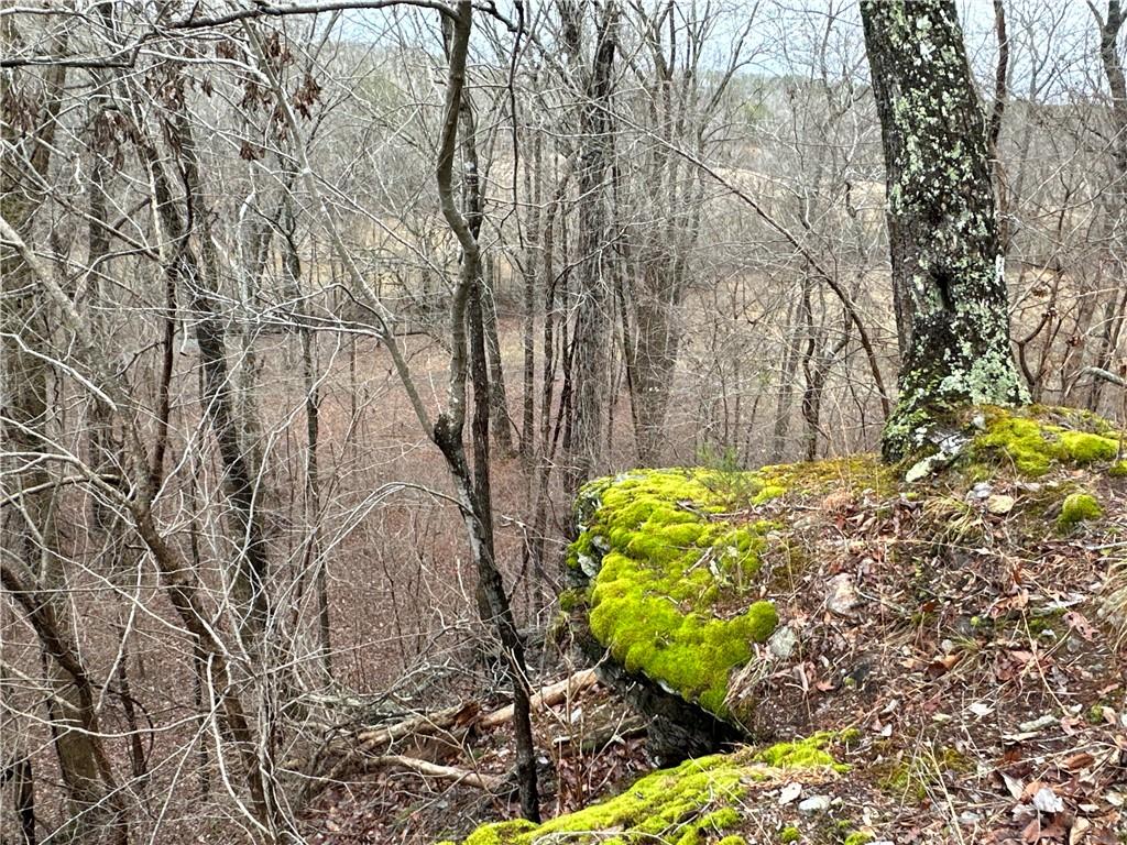 Paris Mountain Road, Rockmart, Georgia image 5