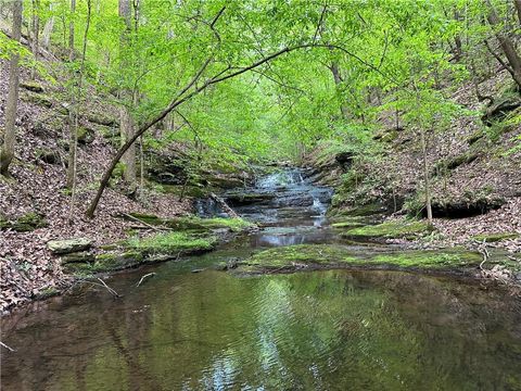 0 Paris Mountain Road Rockmart GA 30153