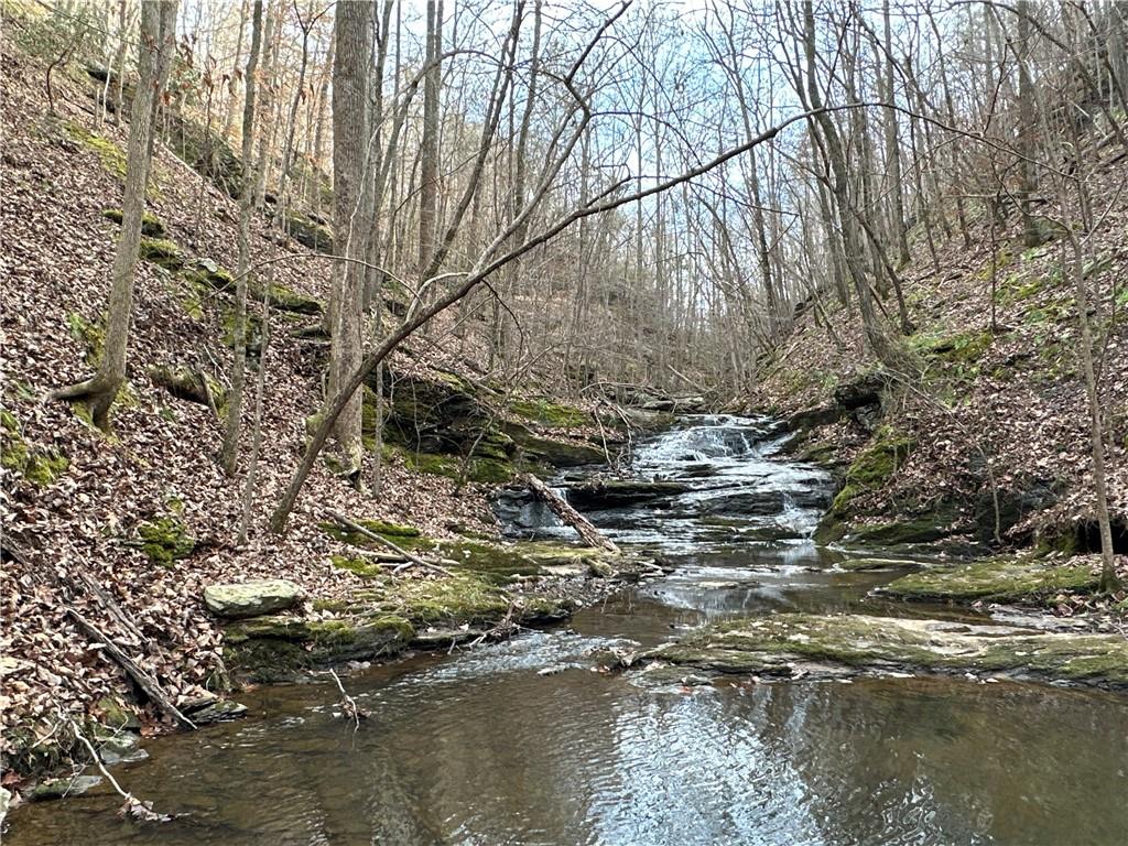 Paris Mountain Road, Rockmart, Georgia image 3