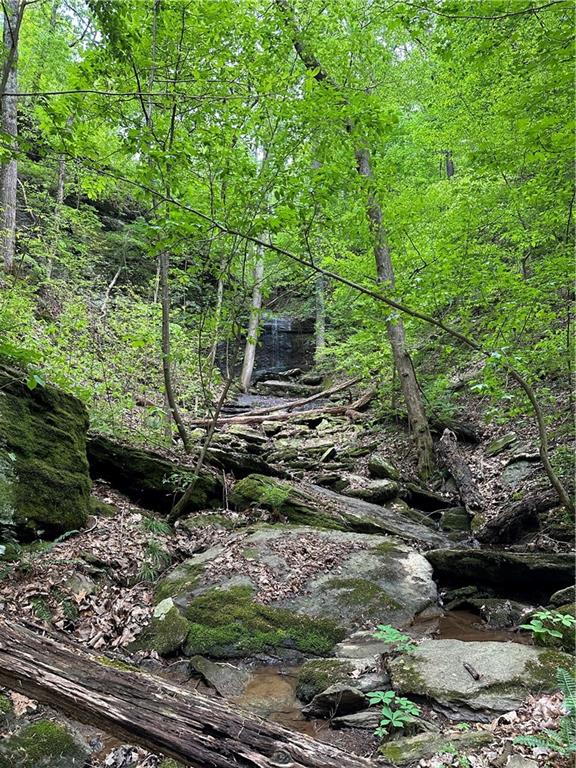 Paris Mountain Road, Rockmart, Georgia image 38