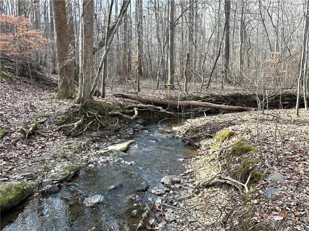 Paris Mountain Road, Rockmart, Georgia image 15