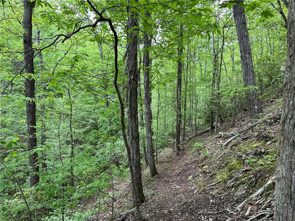 Paris Mountain Road, Rockmart, Georgia image 35