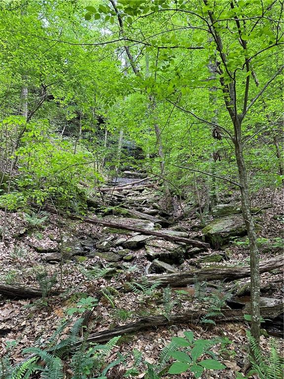 Paris Mountain Road, Rockmart, Georgia image 39