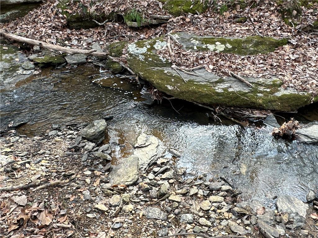 Paris Mountain Road, Rockmart, Georgia image 16